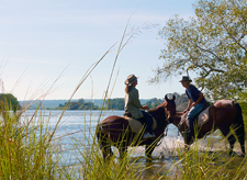 Zimbabwe-Victoria Falls-Zambezi National Park & Victoria Falls Safari Ride